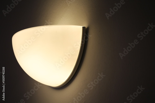 Elegant wall light casting ...