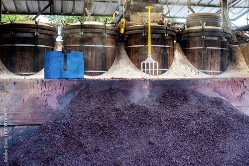 Slika na platnu Old style alembic process of wine distillation