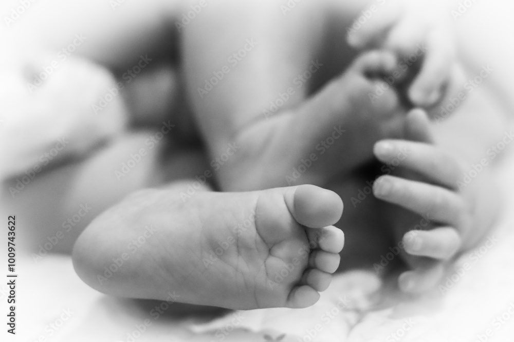 Black and white photo of Newborn Feet stock photo Black and white photo of Newborn Feet stock photo