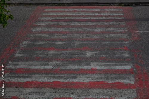  Pedestrian crossing on the road.  photo