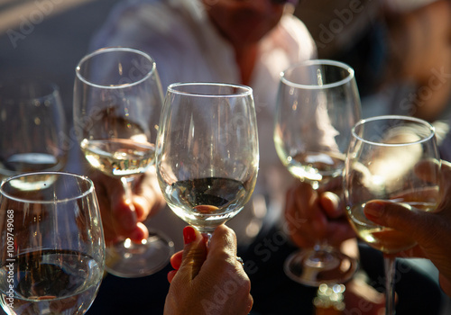 A group of people toast with crystal glasses with albariño wine, white wine