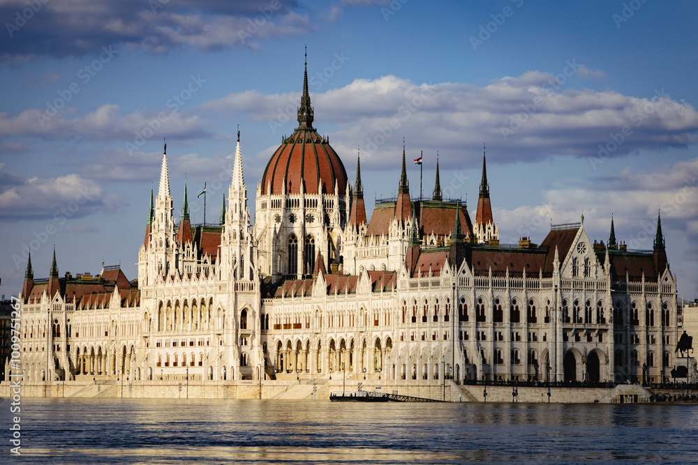 Fototapeta premium hungarian parliament building