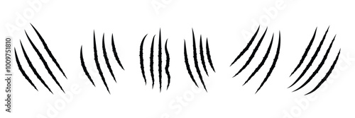 animal claw scratch marks on white background. Cat tiger paw shape scratches signs. animal claw scratches mark set. scar or scratch icons for wilderness, animal attack, wild animal, warning.