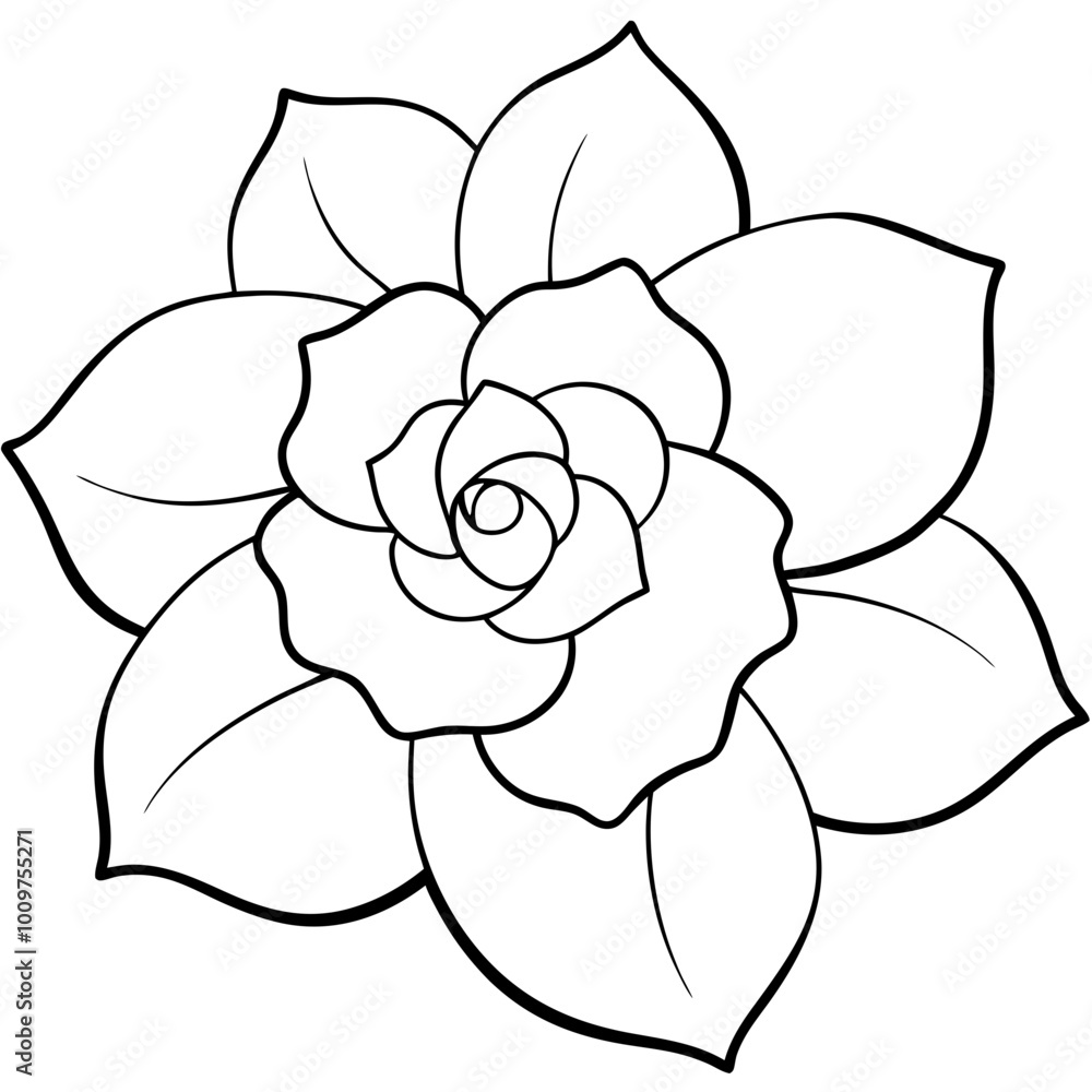 A Wild Rose with Simple Petals Featuring a Stunning Vector Illustration for Floral Designs
A Wild Rose with Simple Petals Featuring a Stunning Vector Illustration for Floral Designs