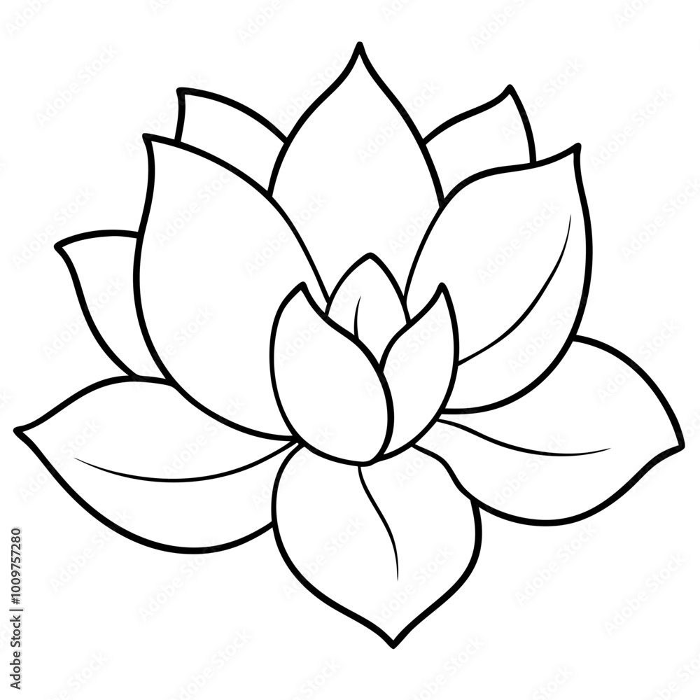 A large open magnolia flower with broad petals vector illustration in high resolution
A large open magnolia flower with broad petals vector illustration in high resolution