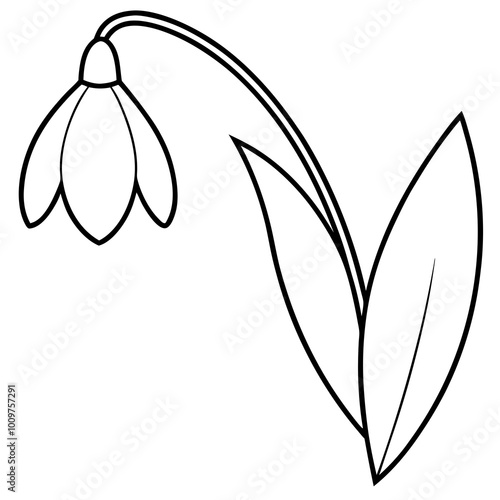 A delicate snowdrop flower with teardrop vector illustration for nature lovers
