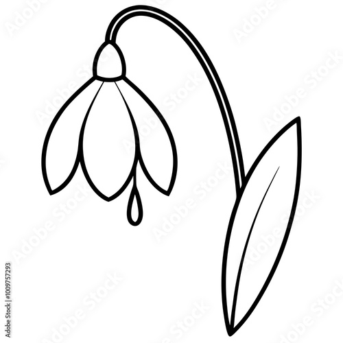 Vector illustration of a delicate snowdrop flower with teardrop in minimalist design
