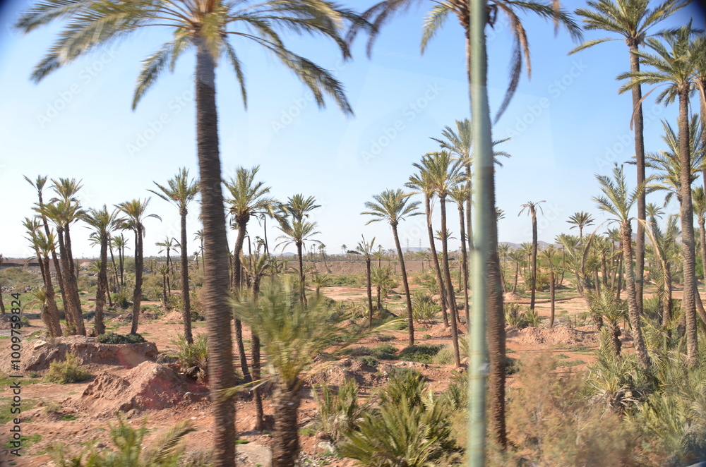 Fototapeta premium Morocco