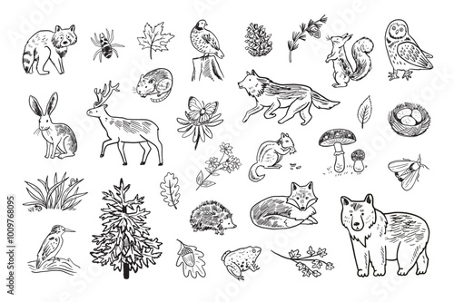 Set of forest animals. Hand drawn vector illustration in sketch style.