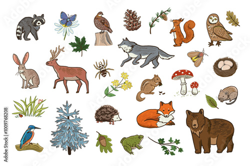 Art & IllustratiSet of hand drawn forest animals. Vector illustration isolated on white background.