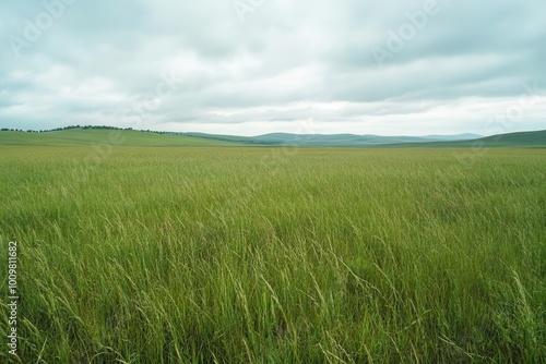 A vast green field under a cloudy sky, showcasing the beauty of nature's landscapes.