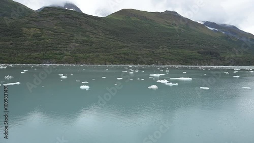 ice cubes in the alaskan waters 