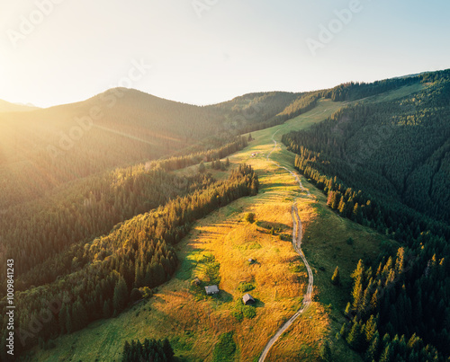 Breathtaking view of a mountain range with a spruce forest on a sunny day. arpathian mountains, Ukraine, Europe. photo