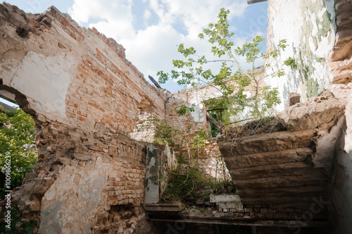 Nature's Reclamation: A Crumbling Ruin Embraced by Greenery photo