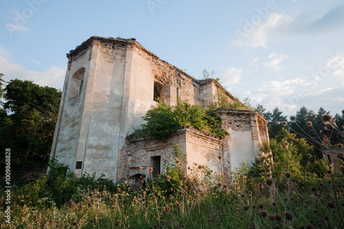 Tranquil Ruins Embraced by Nature's Resilience photo