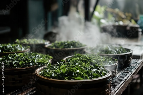 Freshly steamed green tea leaves in bamboo baskets, ready for processing.
