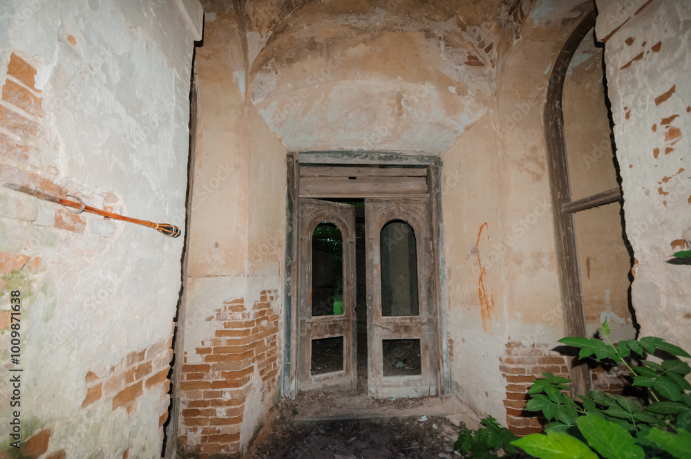 Naklejka premium Abandoned Charm of a Weathered Doorway in a Forgotten Space