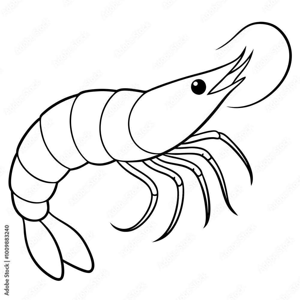 illustration of a fish Shrimp with white background illustration of a fish Shrimp with white background