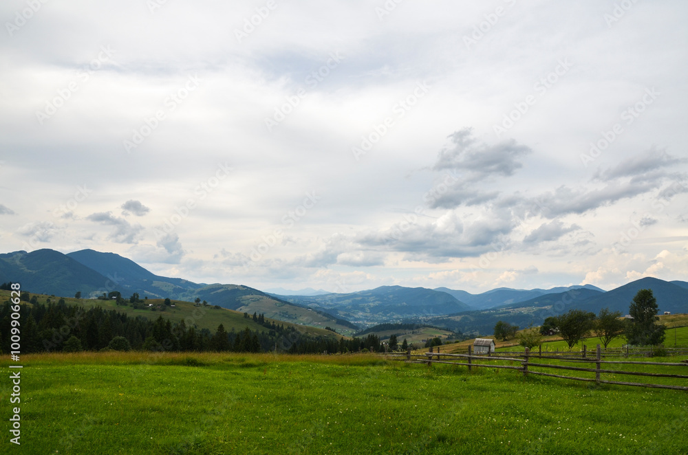 Obraz premium Dirt path leading towards thelush green valley with hills and rural houses, flanked by dense patches of trees under a vast blue sky dotted with scattered clouds. Carpathian mountains, Ukraine
