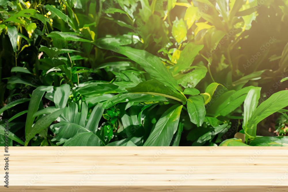 Wooden table top with green leaves background. Wooden table top with green leaves background.