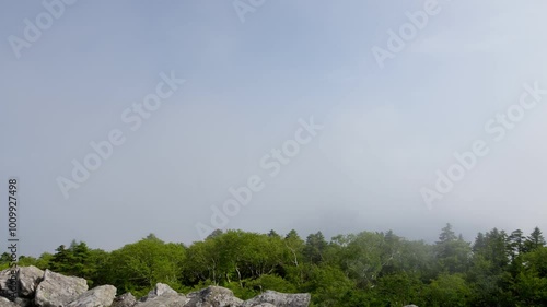 Fog flying at the viewer.. Looping video.