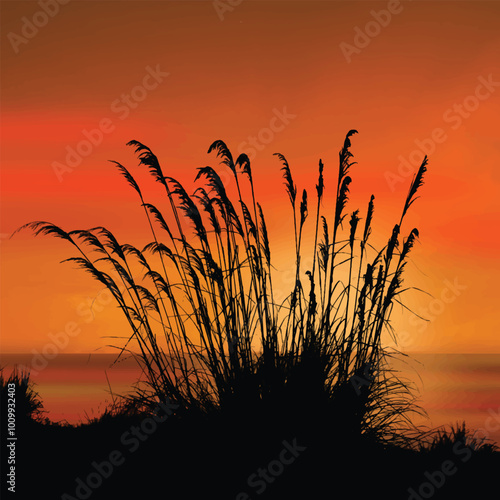 Beautiful  sunset  with sea oats silhouette in front of the sea