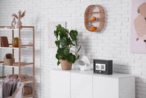 Modern safe with plant on c...