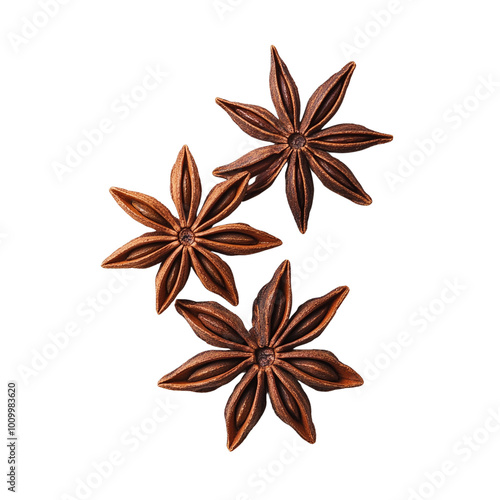 Star anise spice, brown color, isolated on a white background.