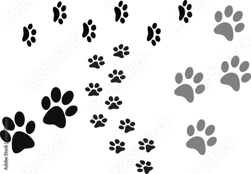 paw prints