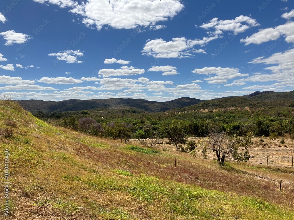 Nature landscape in Goiás, Brazil, featuring the Cerrado biome with its characteristic dry trees under a clear blue sky. The photo showcases the unique beauty and natural environment of the region. Nature landscape in Goiás, Brazil, featuring the Cerrado biome with its characteristic dry trees under a clear blue sky. The photo showcases the unique beauty and natural environment of the region.
