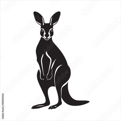 kangaroo illustration,animal, cartoon, vector, illustration, donkey, mammal