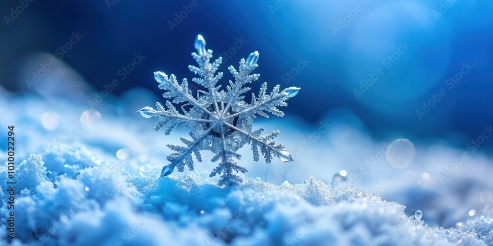 Close-up of a delicate snowflake in winter, Snowflake, delicate, macro, close-up, frost, icy, cold, beauty, intricate Close-up of a delicate snowflake in winter, Snowflake, delicate, macro, close-up, frost, icy, cold, beauty, intricate