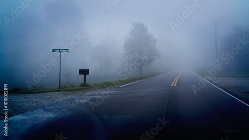 Foggy Morning Drive