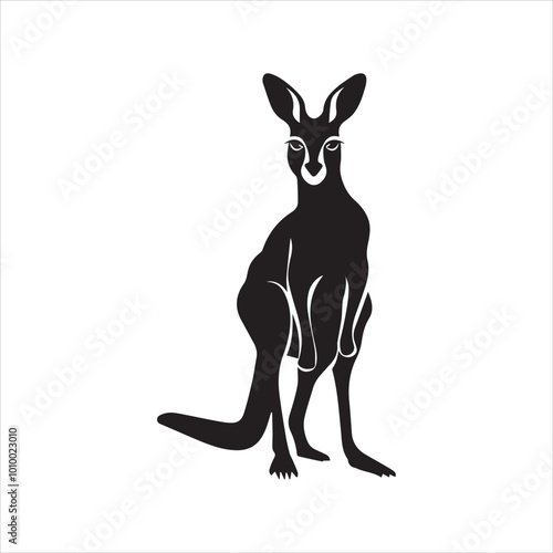 kangaroo illustration,animal, cartoon, vector, illustration, donkey, mammal