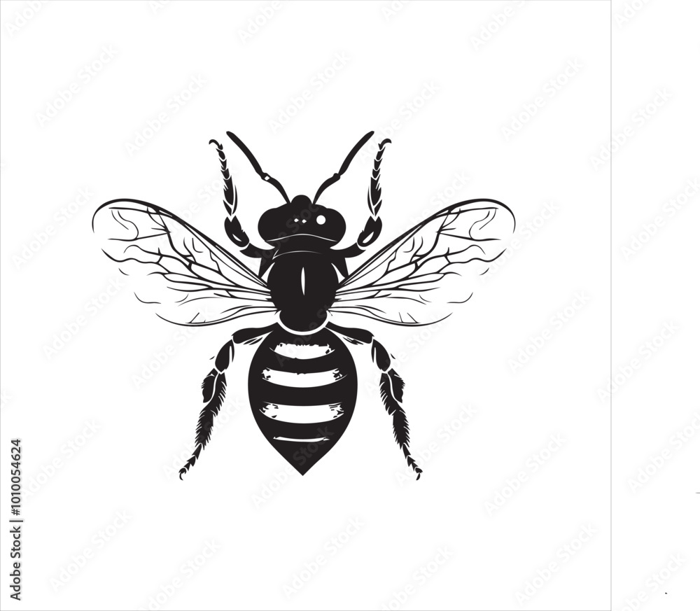 insect, fly, cartoon, bee, animal, bug, nature, macro, isolated, illustration, vector, wing, wasp, flying, black, wings, beetle, green, wildlife, cute, small, close-up insect, fly, cartoon, bee, animal, bug, nature, macro, isolated, illustration, vector, wing, wasp, flying, black, wings, beetle, green, wildlife, cute, small, close-up