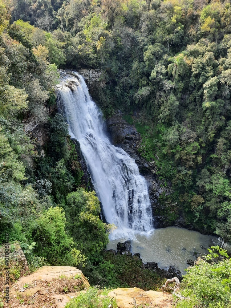 Obraz premium waterfall in the forest