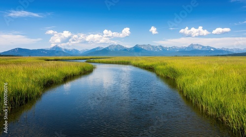 A river with mountains in the background