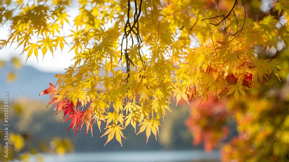 Yellow autumn maple leaves background. Ai generated Yellow autumn maple leaves background. Ai generated