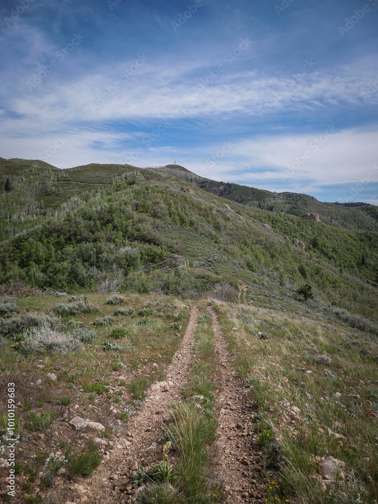 Two track ATV trail through hills in Wasatch Mountain Range in Spanish Fork Canyon in Uinta National Forest Two track ATV trail through hills in Wasatch Mountain Range in Spanish Fork Canyon in Uinta National Forest