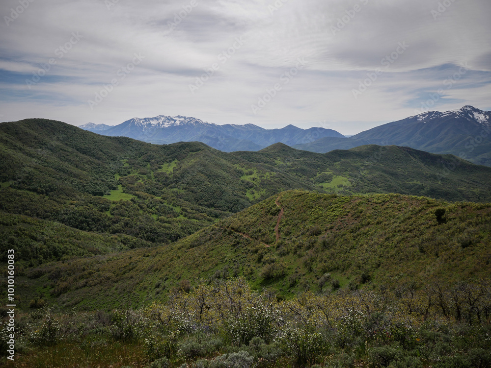 Wide view of two track ATV trail through hills in Wasatch Mountain Range in Spanish Fork Canyon in Uinta National Forest Wide view of two track ATV trail through hills in Wasatch Mountain Range in Spanish Fork Canyon in Uinta National Forest