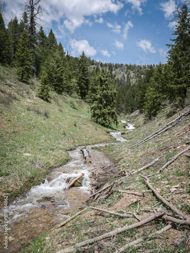 Stream through Wasatch Mountain Range near Provo utah in early spring in Uinta National Forest photo