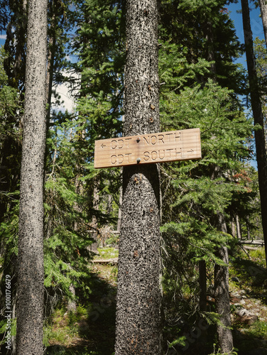 Wooden sign for Continental Divide Trail through Salmon National Forest in Idaho in summer