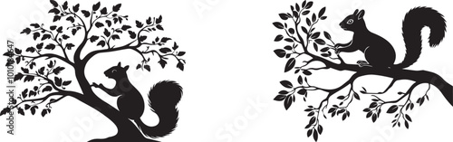 Silhouette of a squirrel climbing an oak tree. Animal vector silhouette