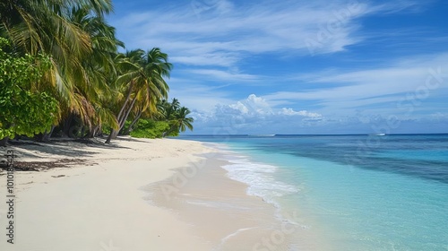 Tropical beach with palm trees and clear water