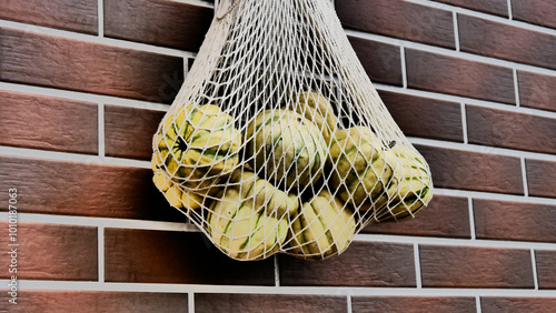 A white netbag full of many small pumpkins hanging an a brick wall photo