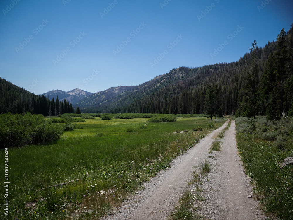 Dirt road in Sawtooth Mountains near Stanley Idaho in summer through meadow