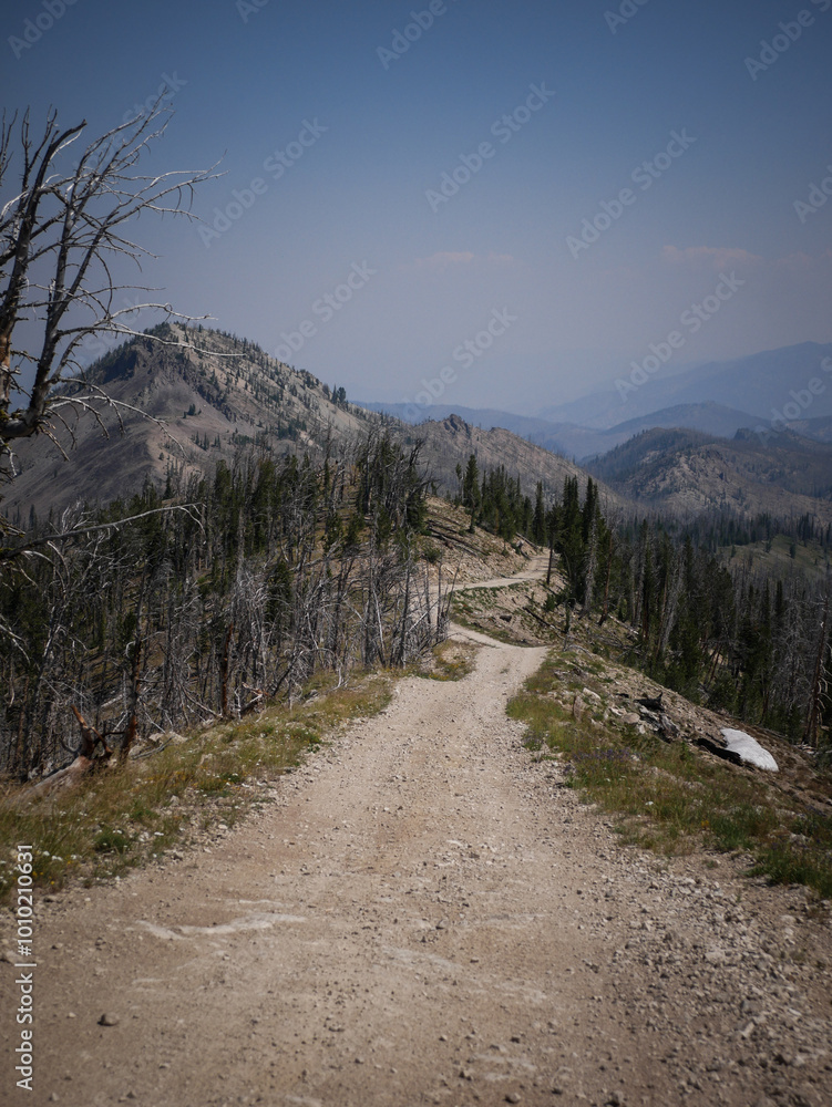 Obraz premium Steep dirt road in Sawtooth Mountain Range near Stanley Idaho for four wheeling