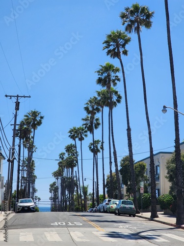 Typical LA views