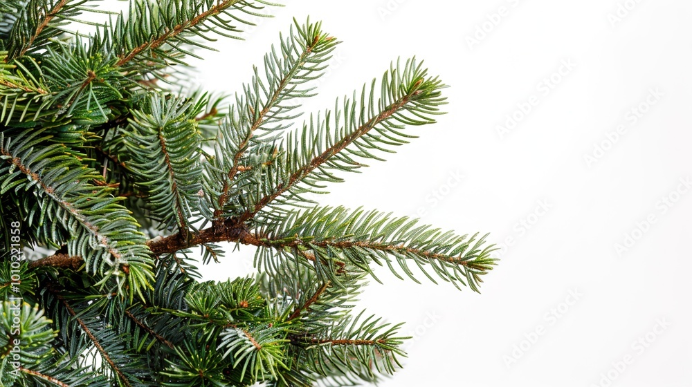 christmas background with christmas branches and decorations christmas background with christmas branches and decorations