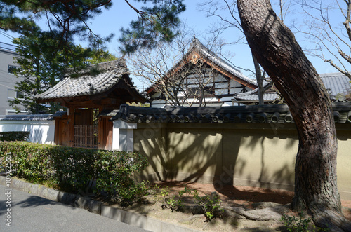 相国寺　瑞春院　京都市上京区 photo